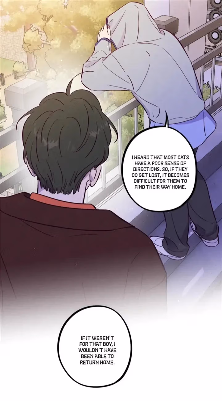 Trapping the Foxy Doctor Chapter 93 page 13 - 
