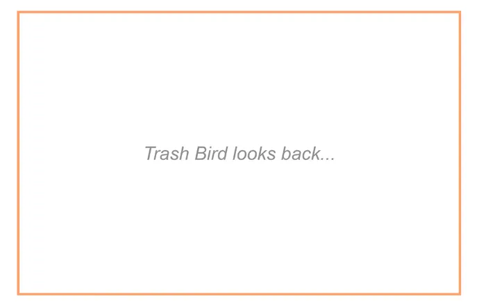 Trash Bird Chapter 164 page 2 - 