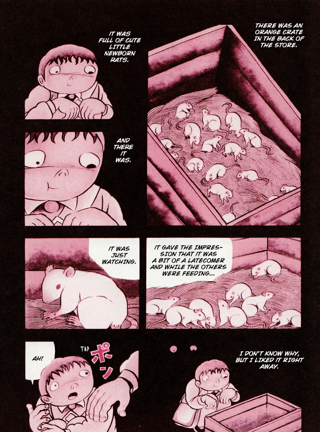 Trauma! Bizarre Manga Collection Chapter 3 page 13 - 