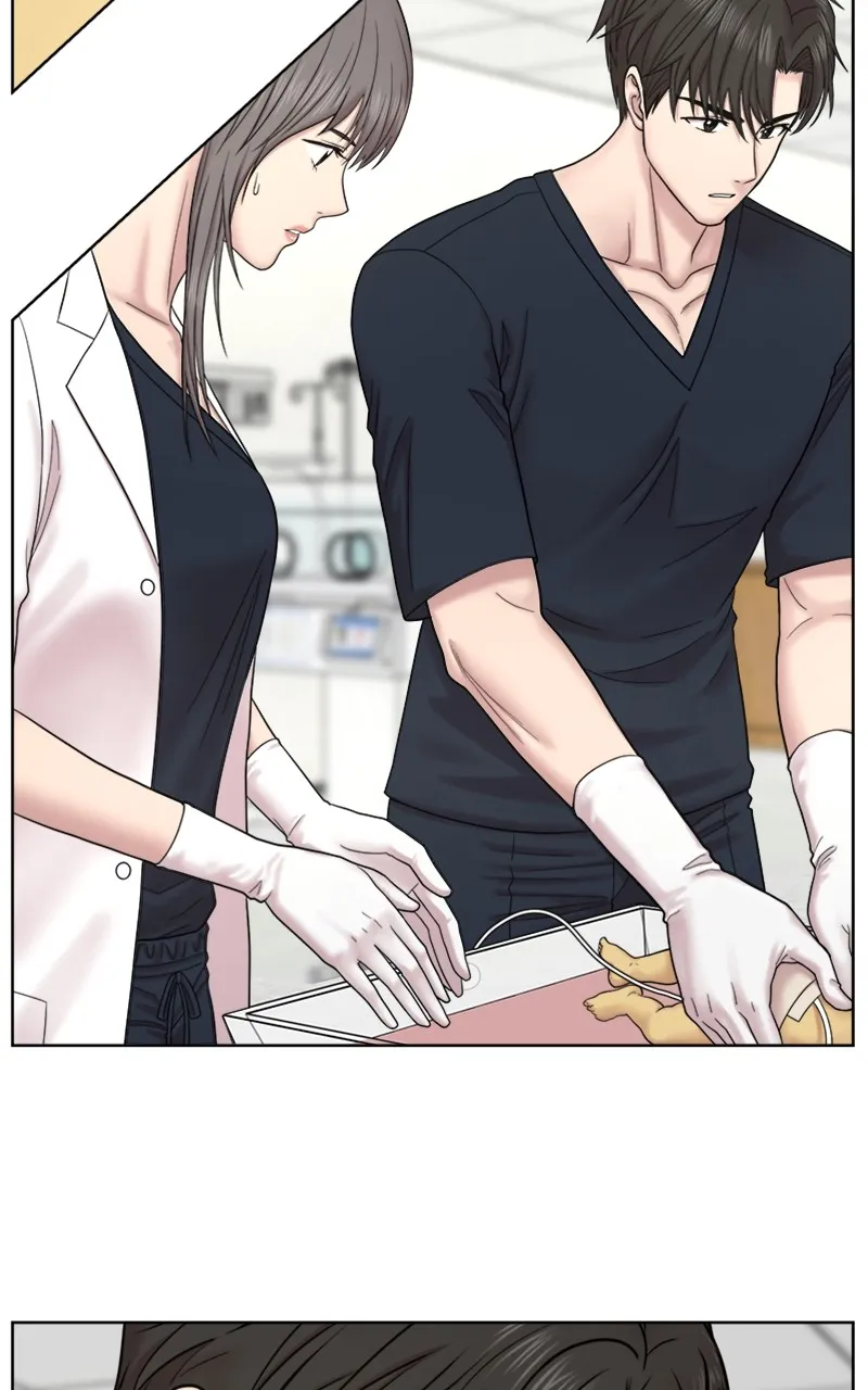 Read Trauma Center:Dr. Baek chapter 13 image 4 on Lezhin