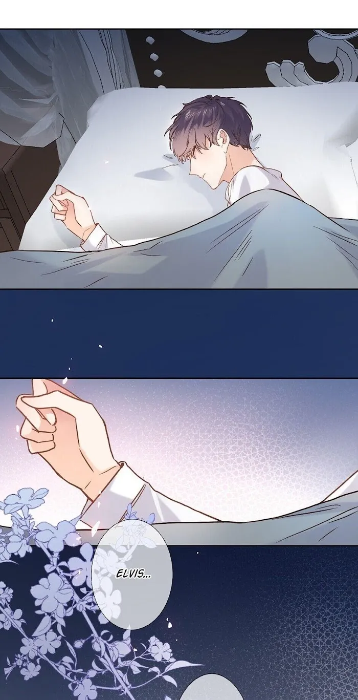 Travelling Through the Universe's Flower Chapter 17 page 41 - 