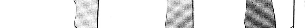 Read Trinity Blood chapter 3 image 49 on Lezhin