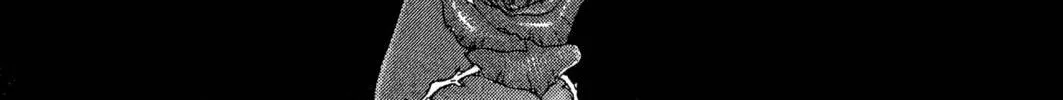 Read Trinity Blood chapter 32 image 5 on Lezhin