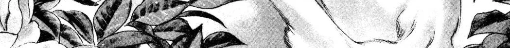 Read Trinity Blood chapter 37 image 1 on Lezhin