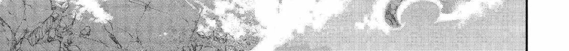 Read Trinity Blood chapter 80 image 13 on Lezhin