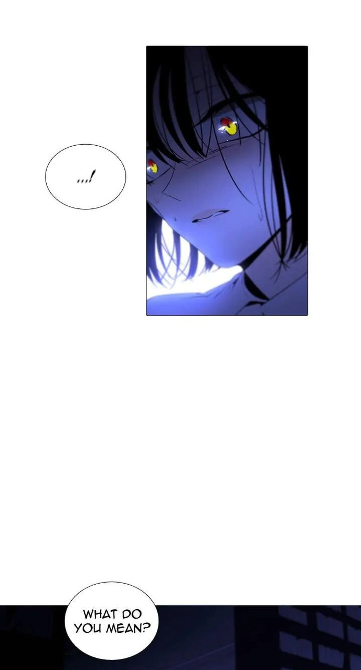 Read Trump chapter 245 image 15 on Lezhin