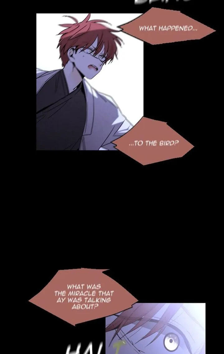 Read Trump chapter 370 image 54 on Lezhin