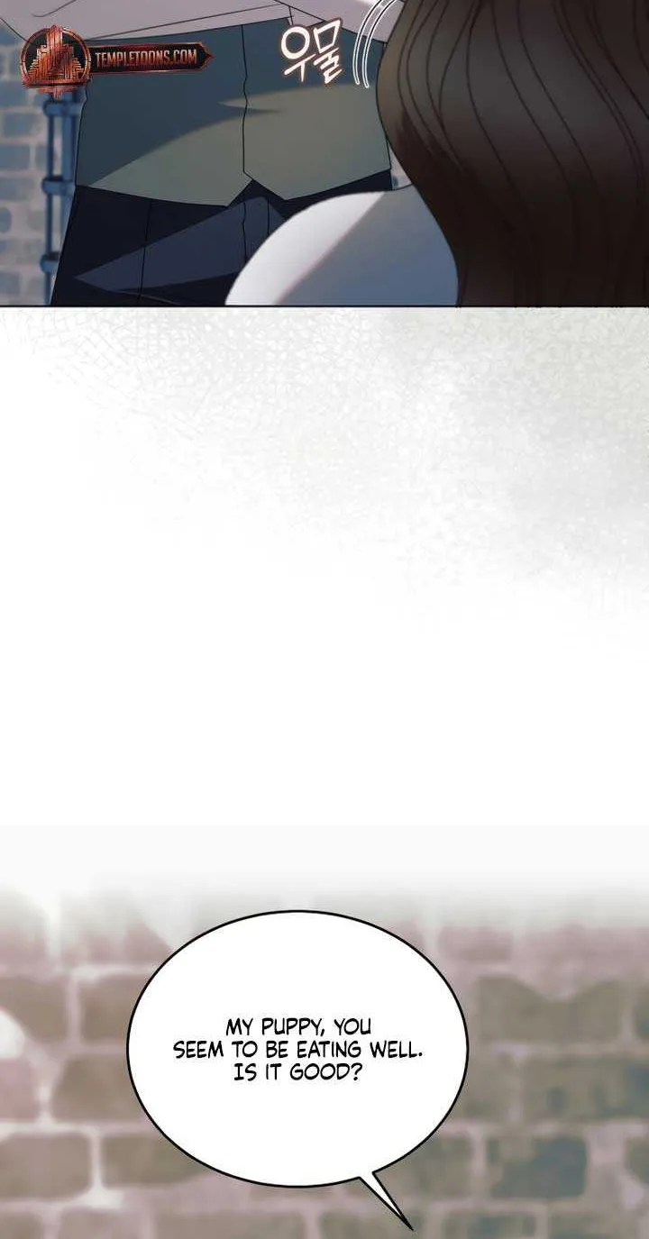 Read Try Begging Me chapter 54 image 25 on Lezhin