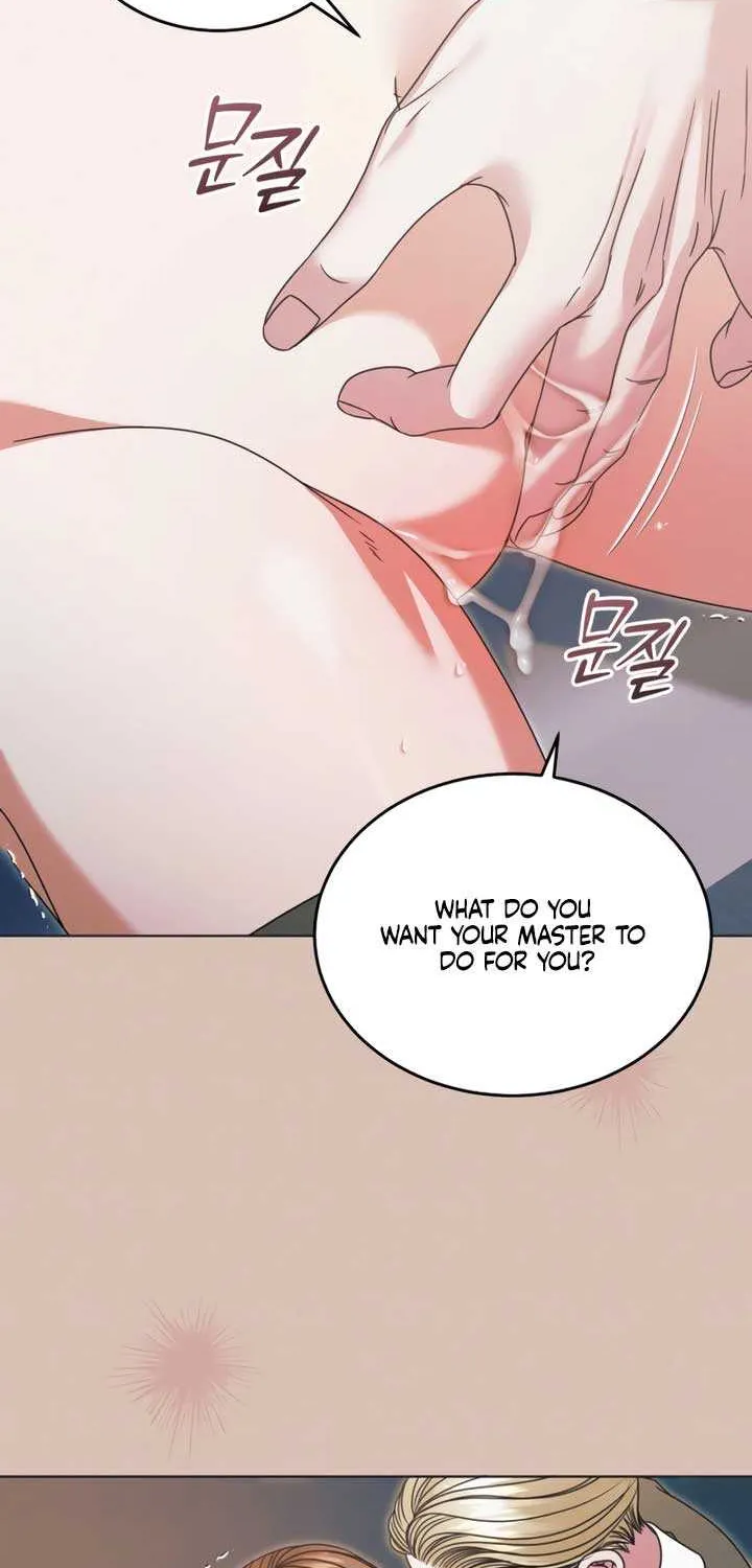 Read Try Begging Me chapter 54 image 55 on Lezhin