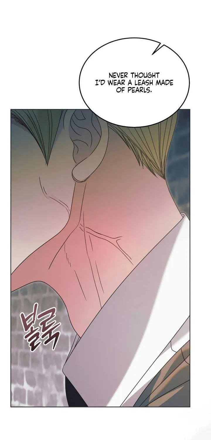 Read Try Begging Me chapter 54 image 79 on Lezhin