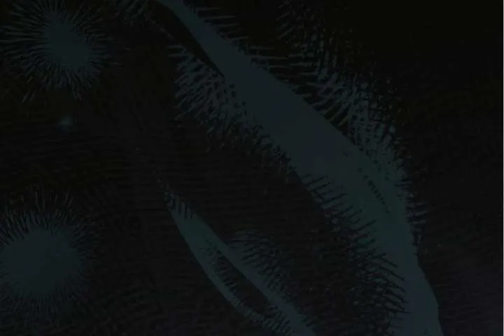 Read Try Begging Me chapter 63 image 120 on Lezhin