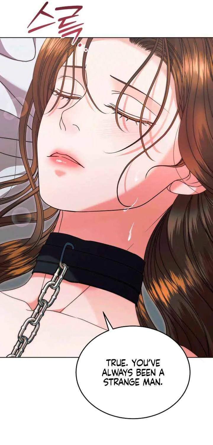 Read Try Begging Me chapter 64 image 85 on Lezhin