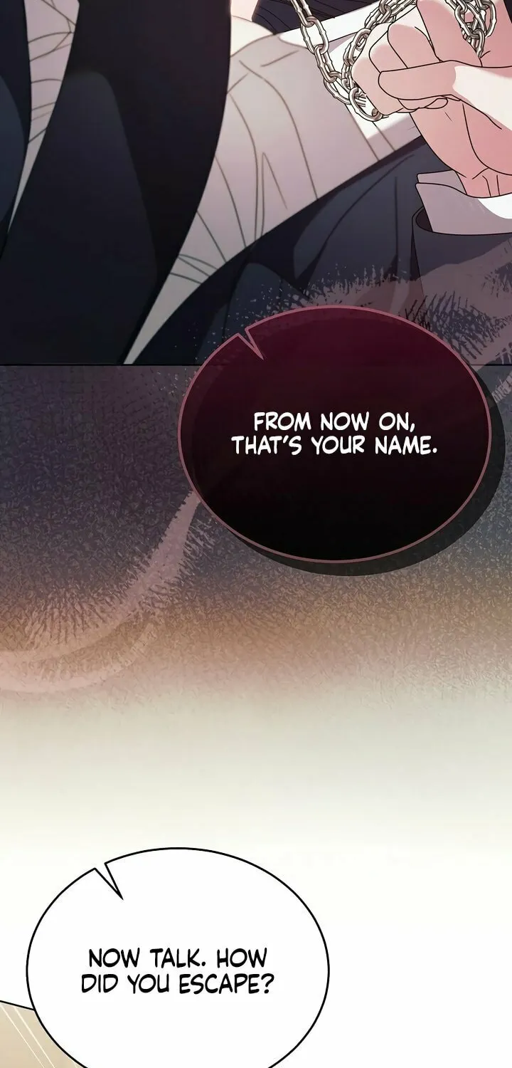 Read Try Begging chapter 51 image 86 on Lezhin