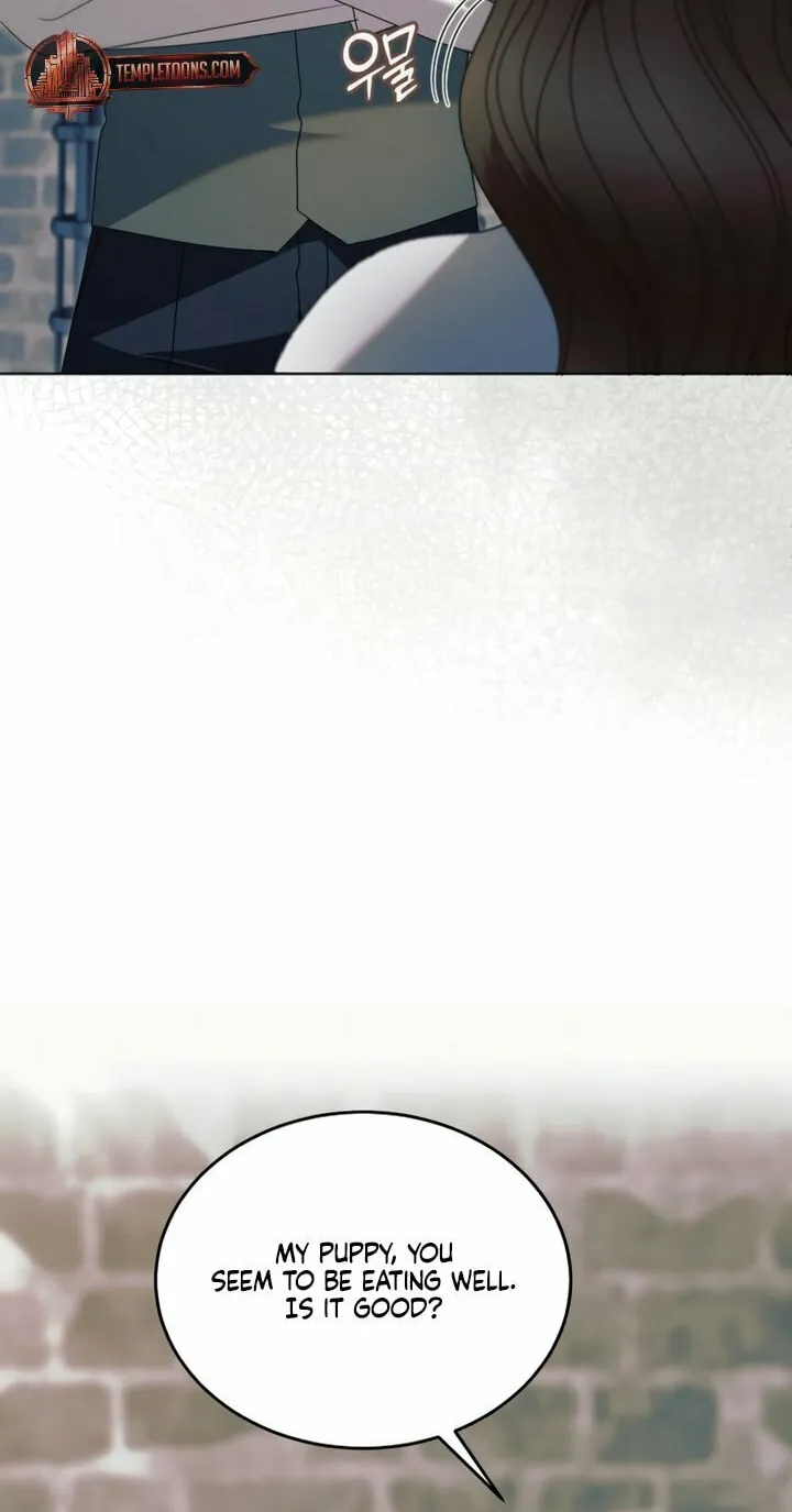 Read Try Begging chapter 54 image 24 on Lezhin