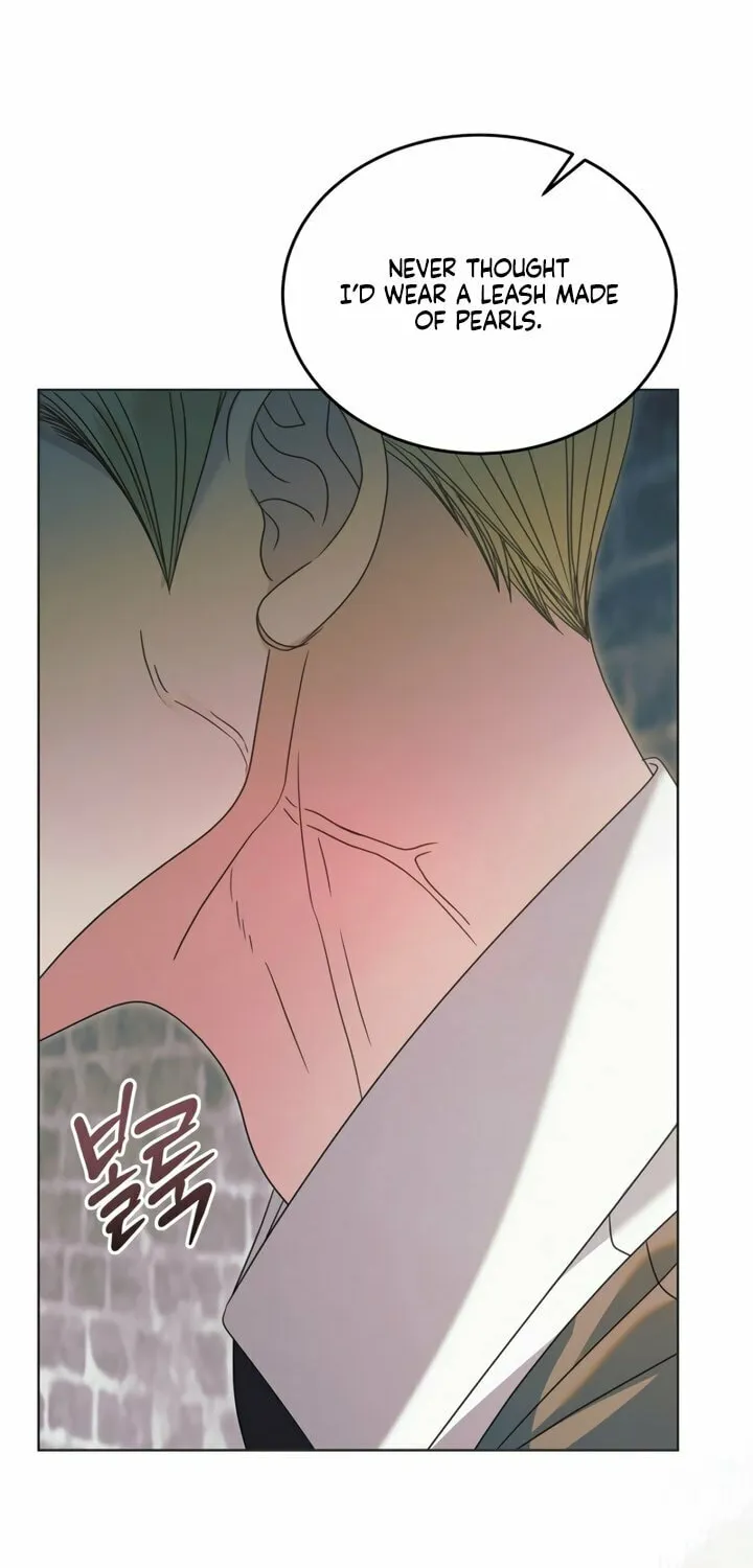 Read Try Begging chapter 54 image 78 on Lezhin