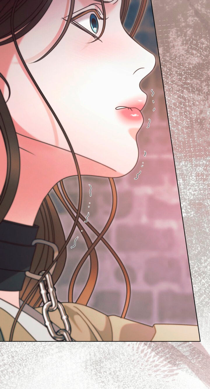 Read Try Begging chapter 76 image 42 on Lezhin