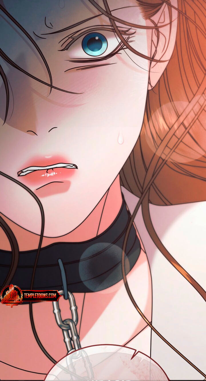 Read Try Begging chapter 76 image 48 on Lezhin