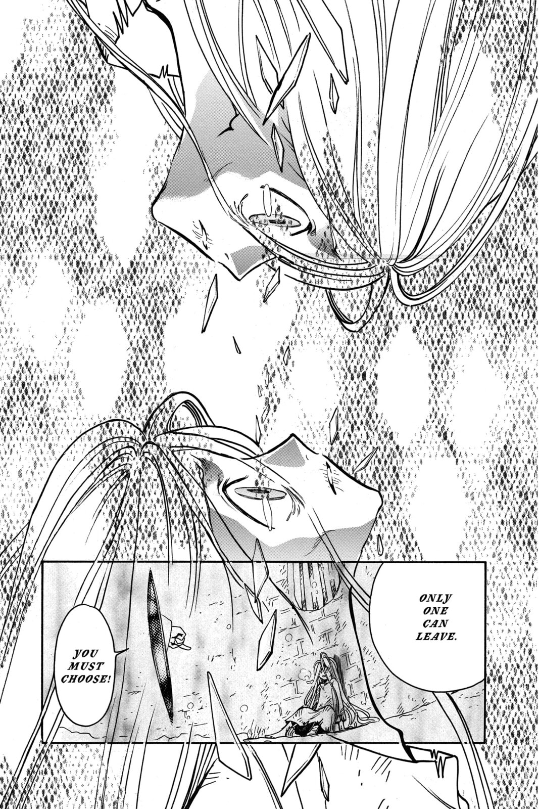 Tsubasa RESERVoir CHRoNiCLE Chapter 158 page 3 - 
