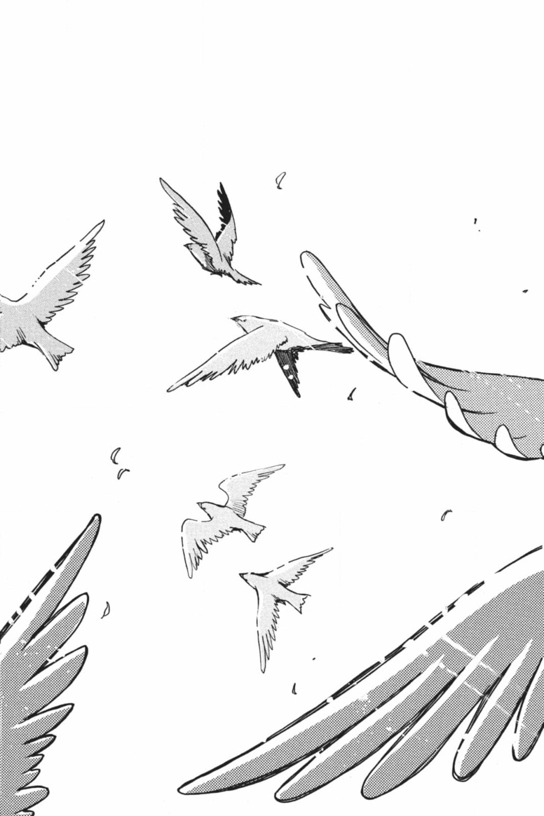 Tsubasa RESERVoir CHRoNiCLE Chapter 224 page 38 - 