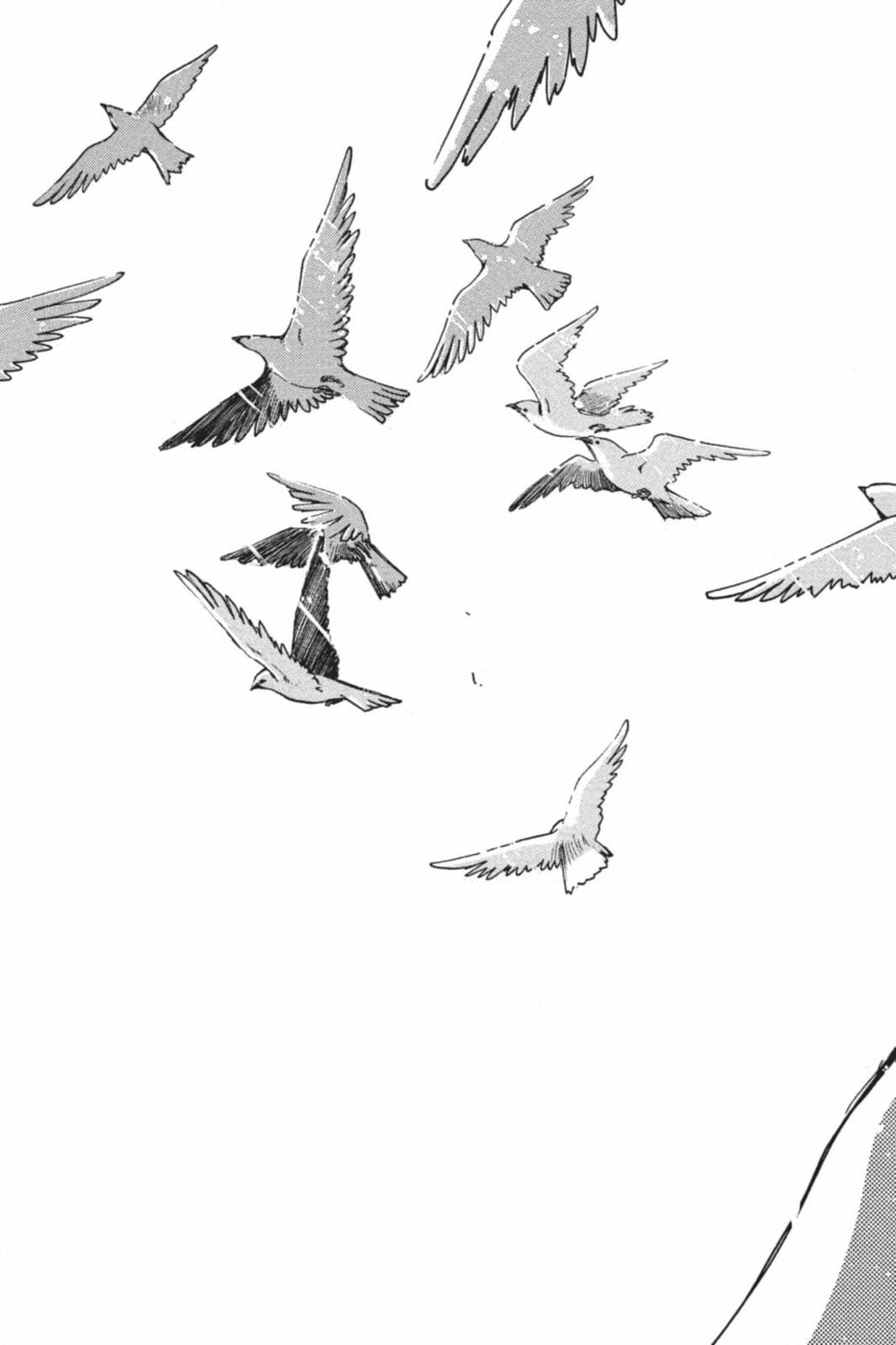 Tsubasa RESERVoir CHRoNiCLE Chapter 224 page 39 - 