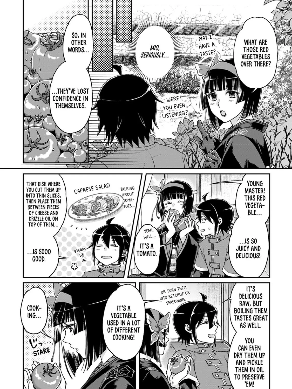 Tsukimichi: Moonlit Fantasy Chapter 34 page 11 - 