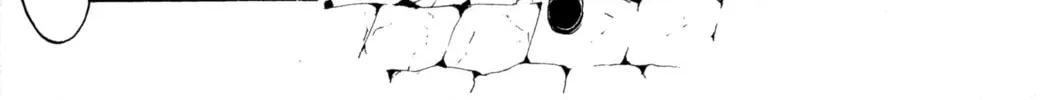 Read Tsukuyomi: Moon Phase chapter 1 image 25 on Lezhin