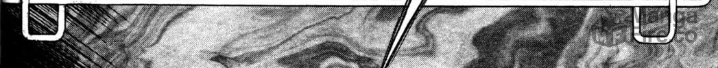 Read Tsukuyomi: Moon Phase chapter 47 image 5 on Lezhin