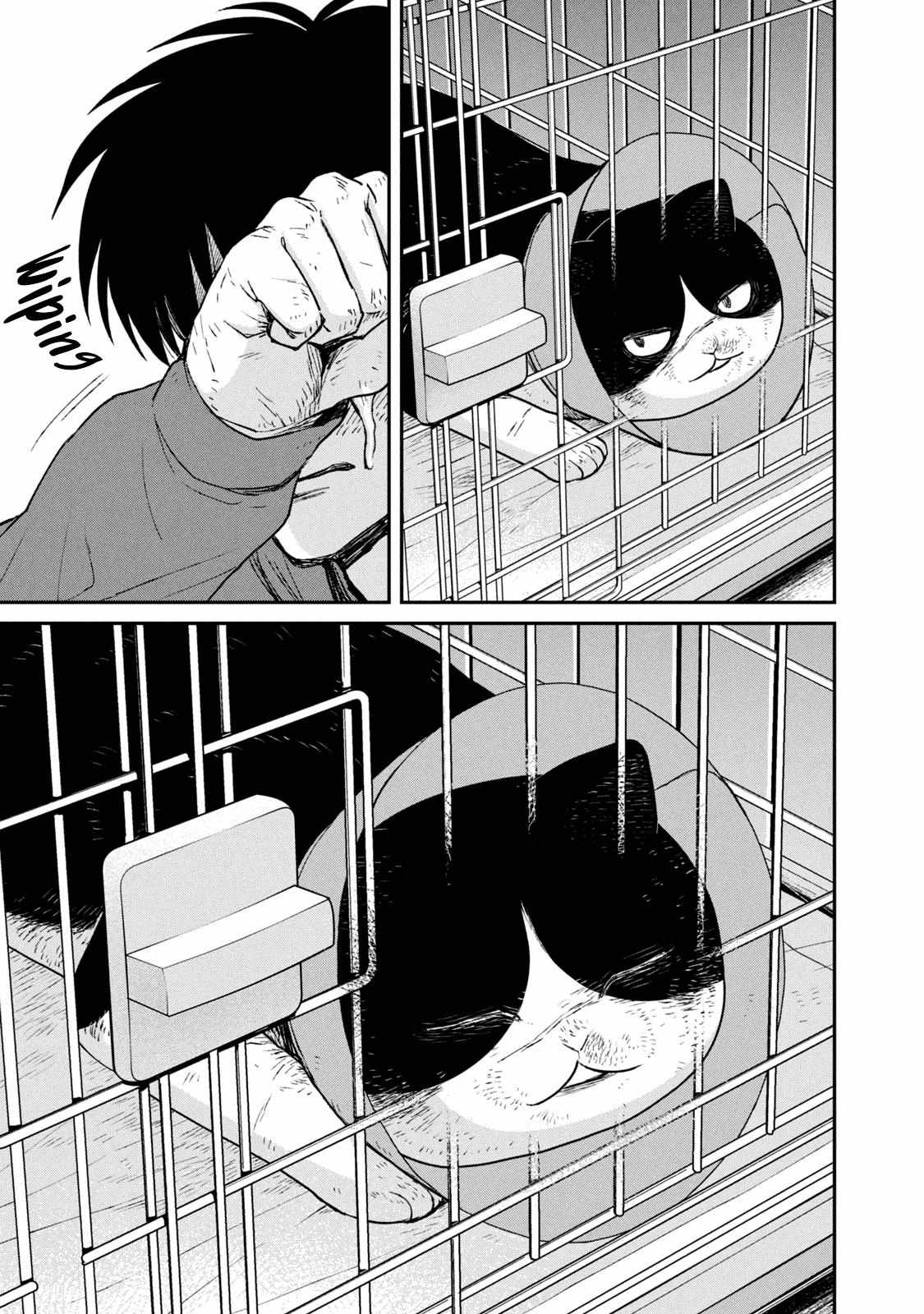 Read Tsureneko: Maruru to Hachi chapter 13 image 9 on Lezhin