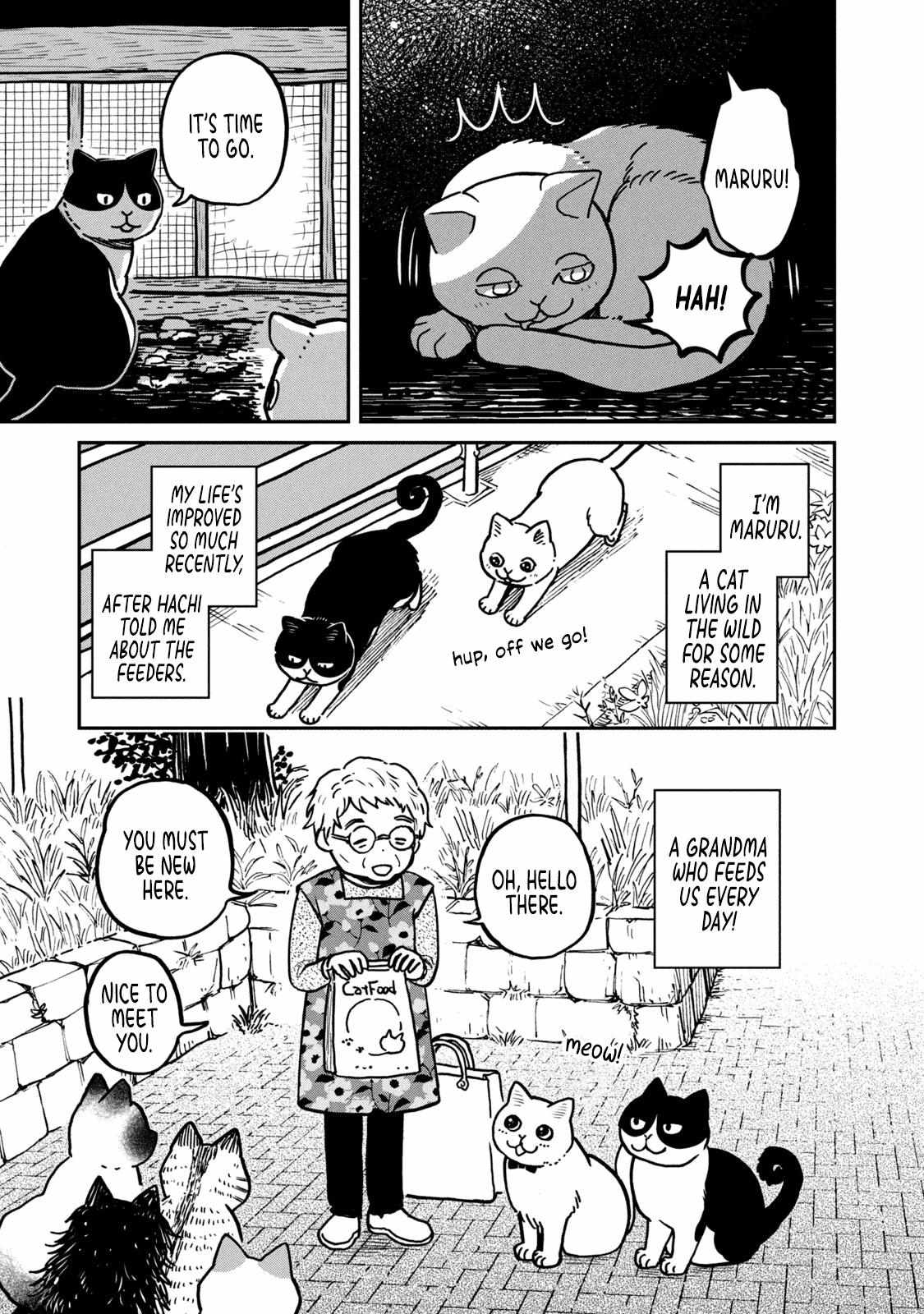 Read Tsureneko: Maruru to Hachi chapter 2 image 3 on Lezhin