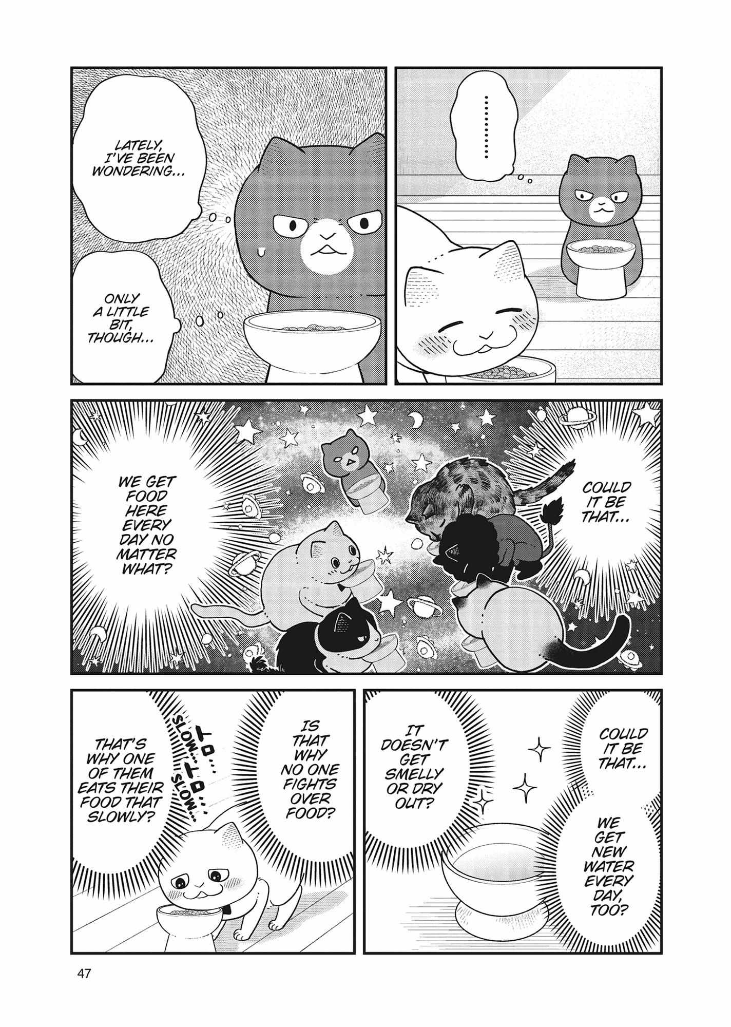 Read Tsureneko: Maruru to Hachi chapter 39 image 3 on Lezhin