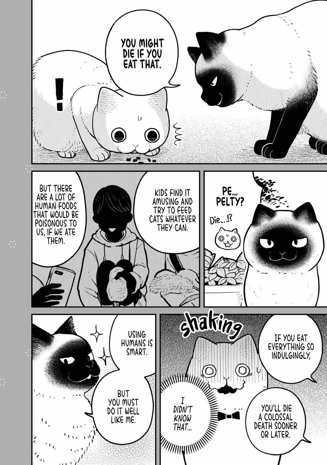 Read Tsureneko: Maruru to Hachi chapter 9.2 image 2 on Lezhin