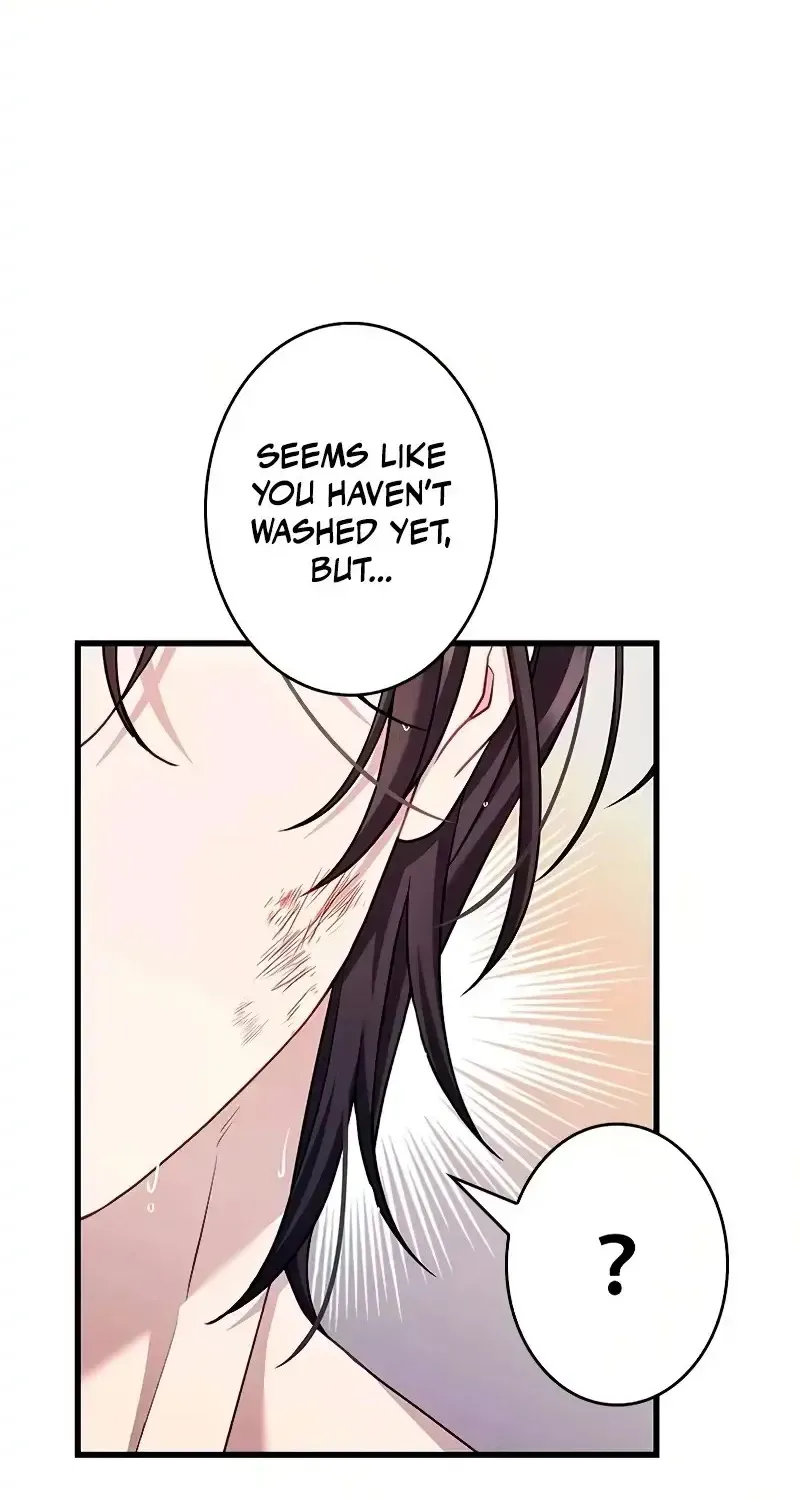 Turning a Crazy Dog Into a Young Master Chapter 16 page 33 - 