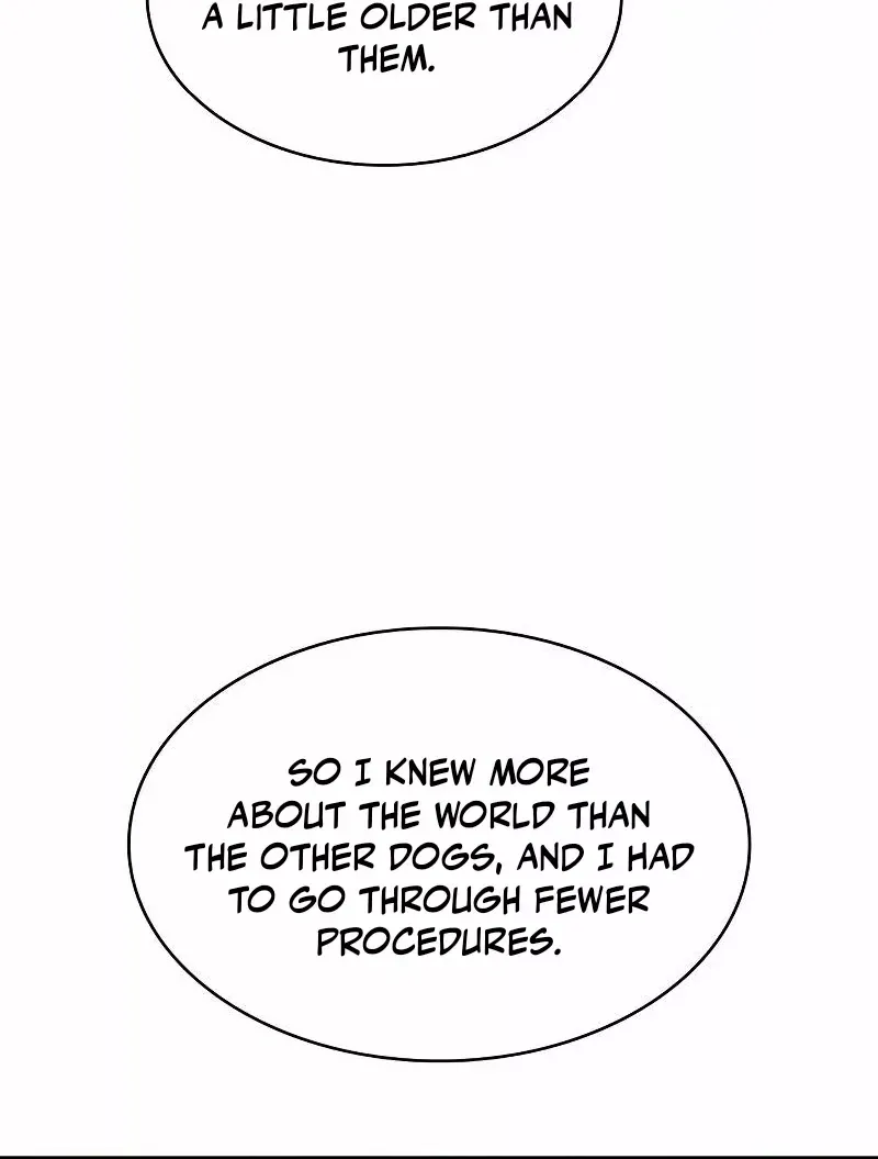 Turning a Crazy Dog Into a Young Master Chapter 21 page 73 - 