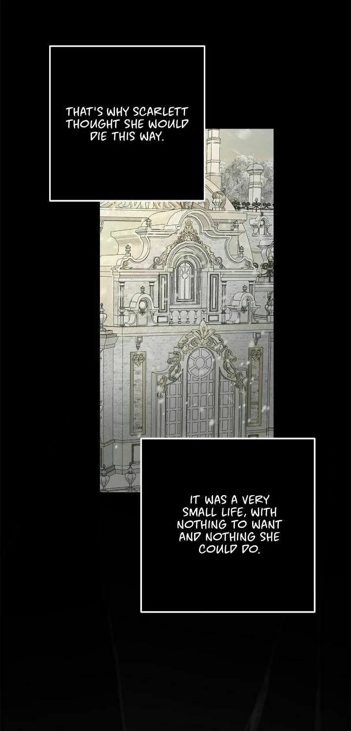 Two Names of Night Chapter 48 page 65 - 