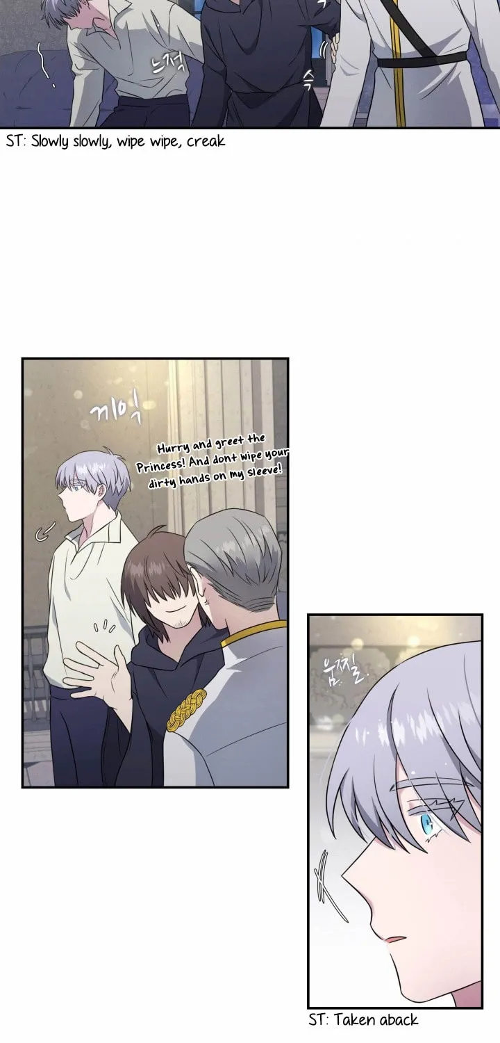 Two Sides of the Princess Chapter 10 page 12 - 