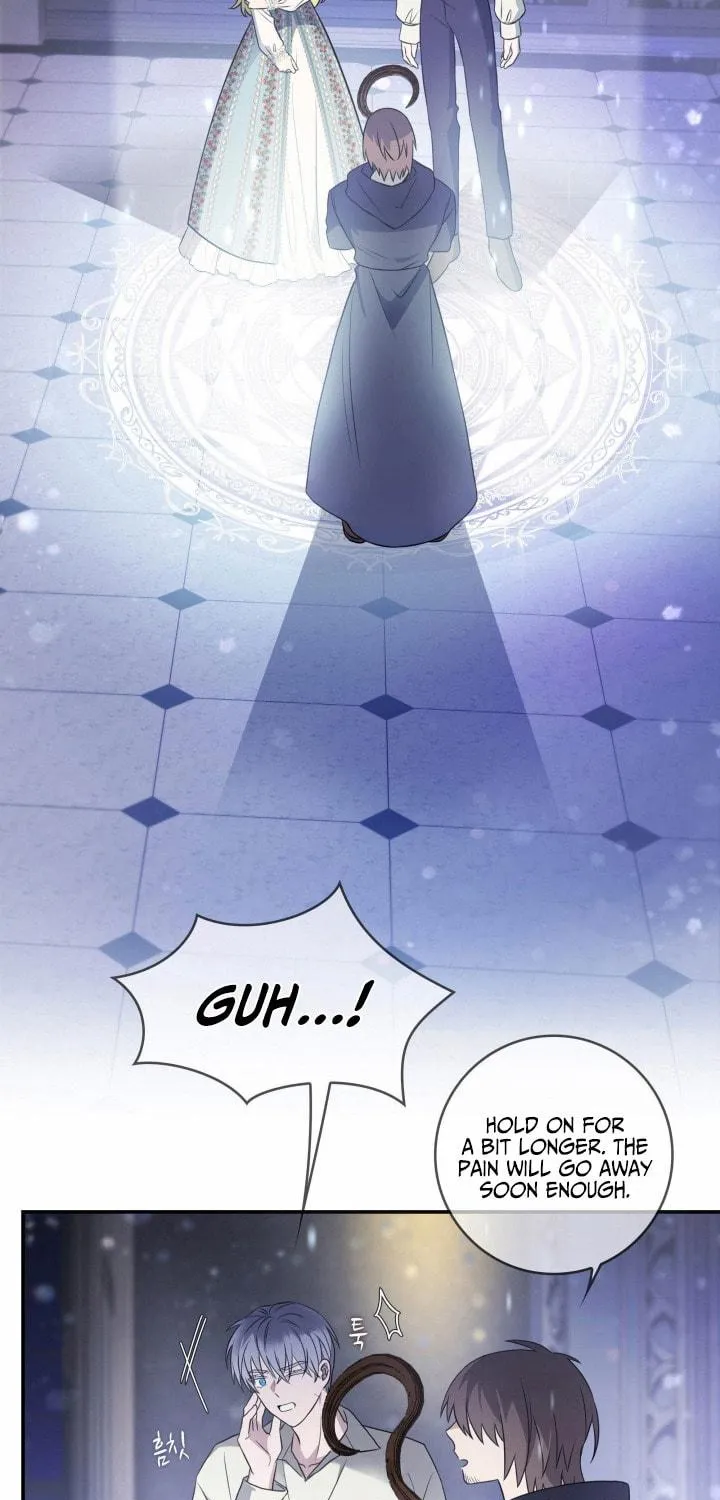 Two Sides of the Princess Chapter 10 page 27 - 