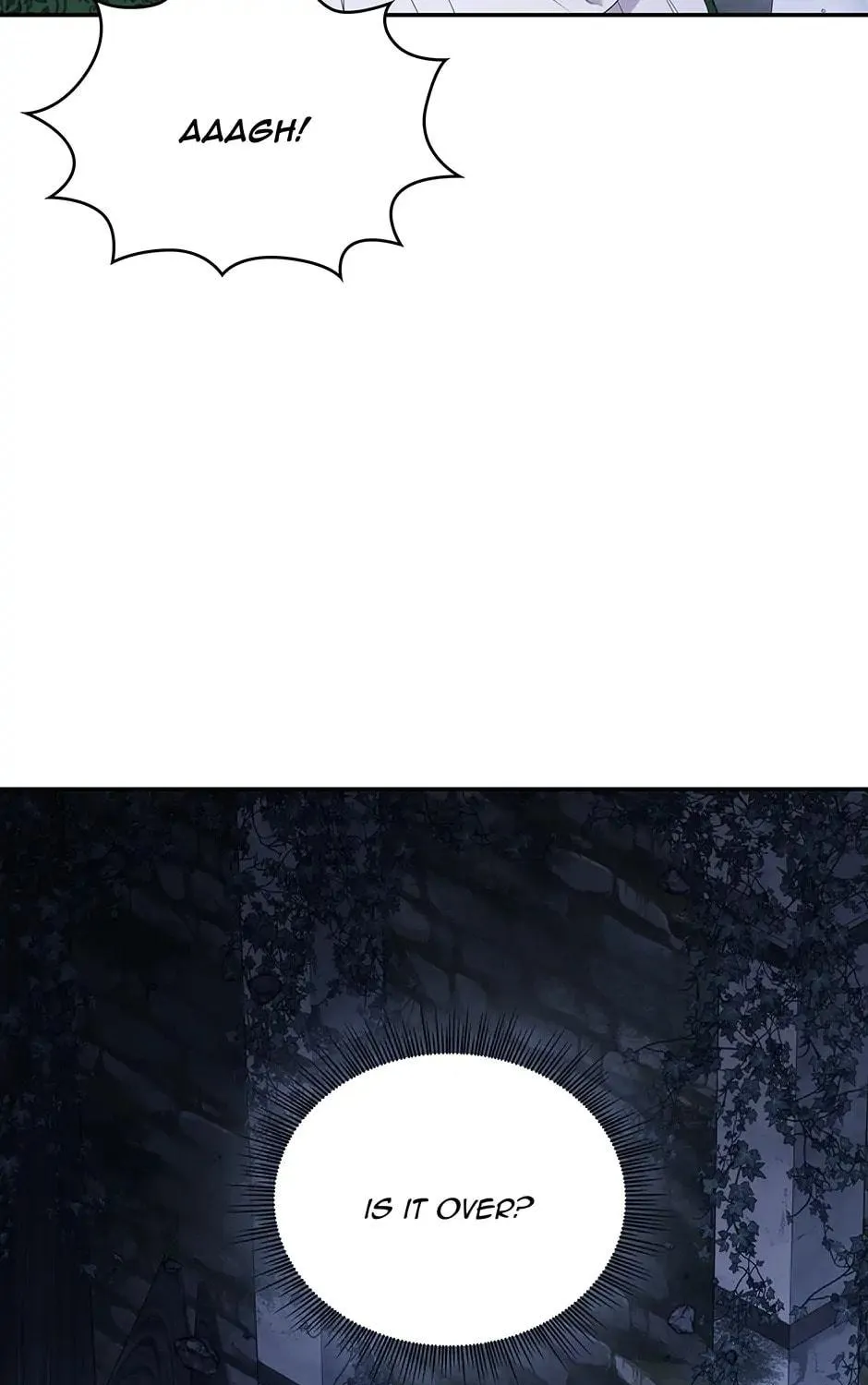 Two Sides of the Princess Chapter 108 page 28 - 