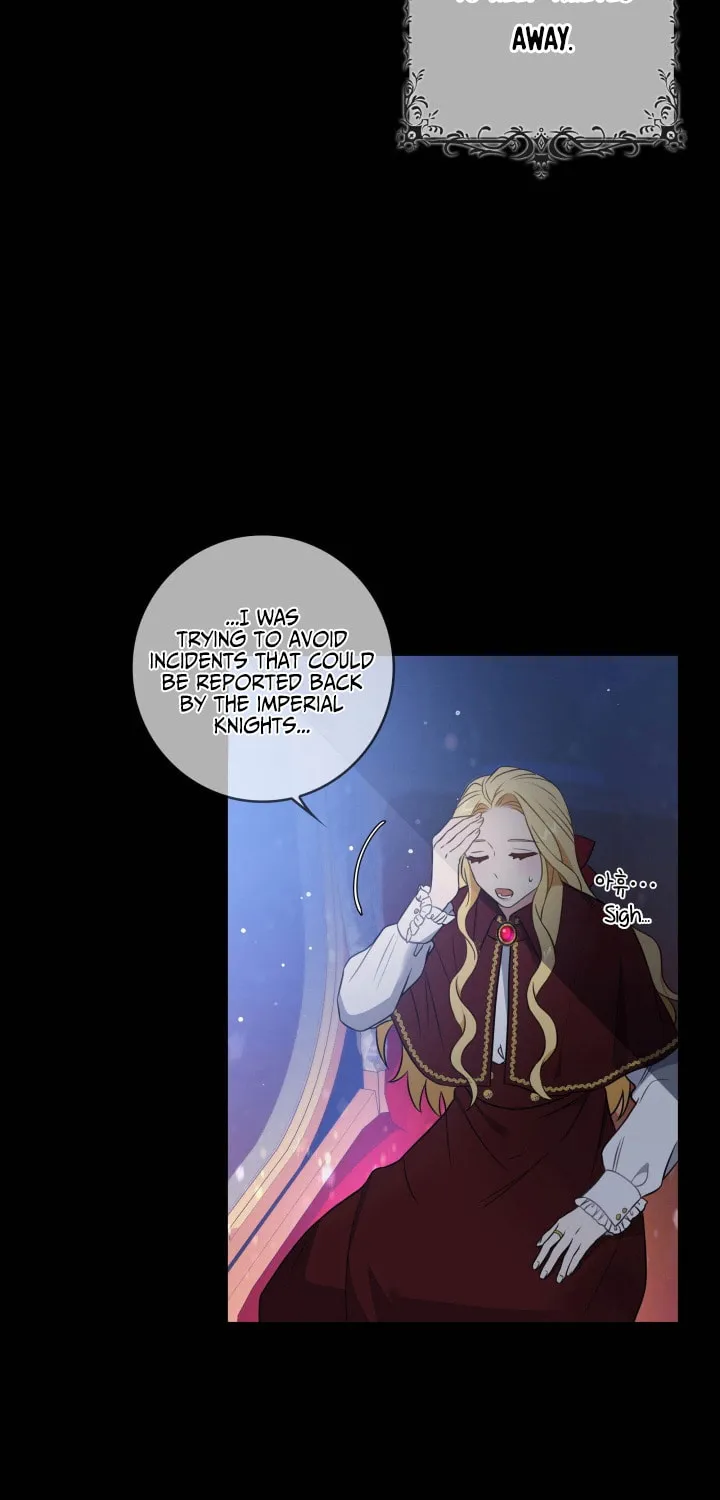 Two Sides of the Princess Chapter 11 page 29 - 