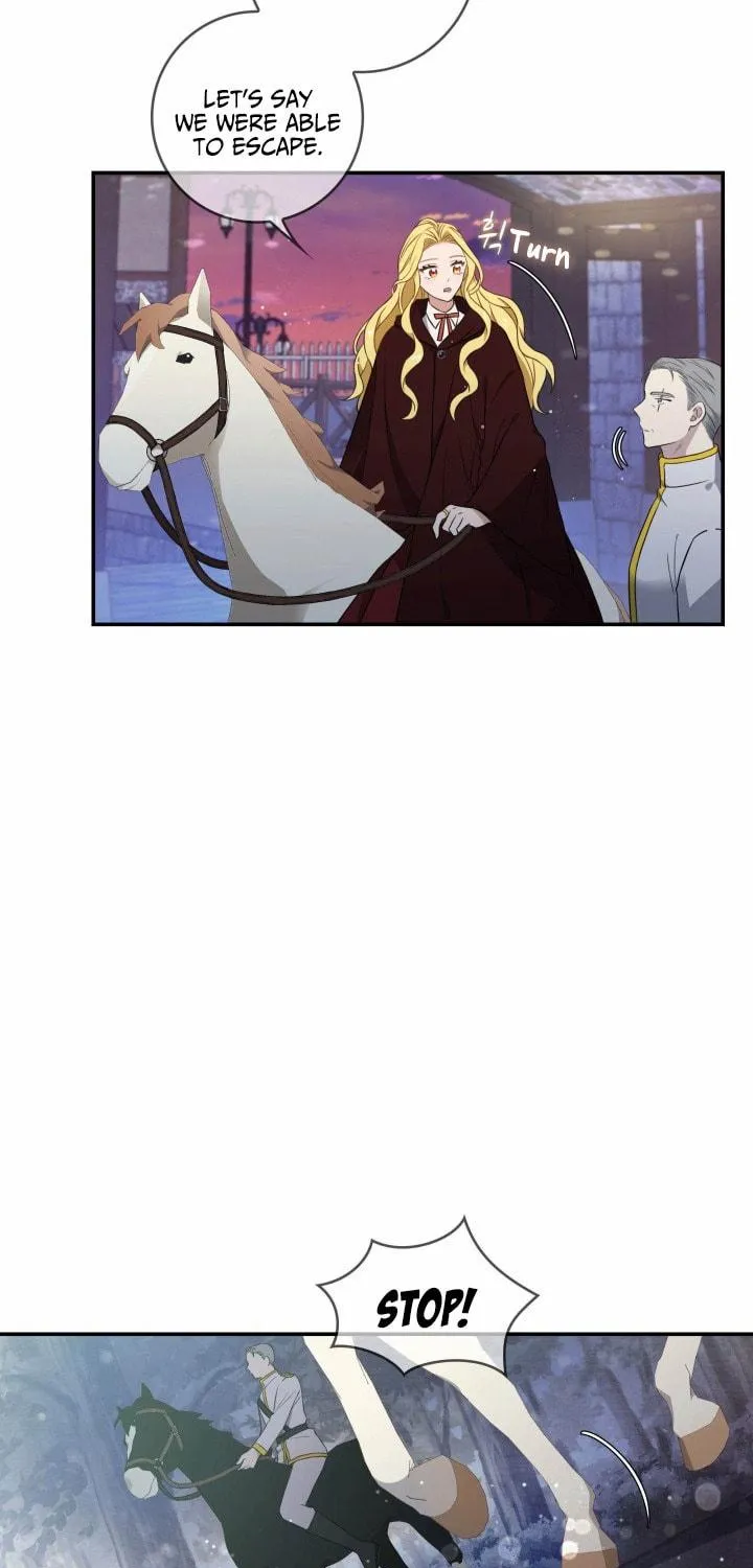 Two Sides of the Princess Chapter 11 page 44 - 