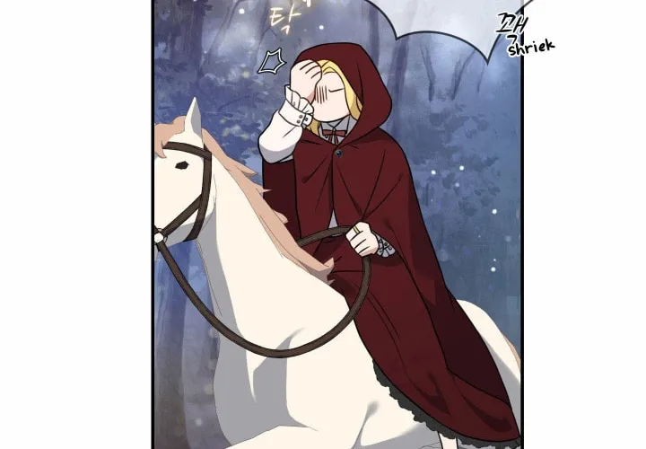 Two Sides of the Princess Chapter 11 page 71 - 