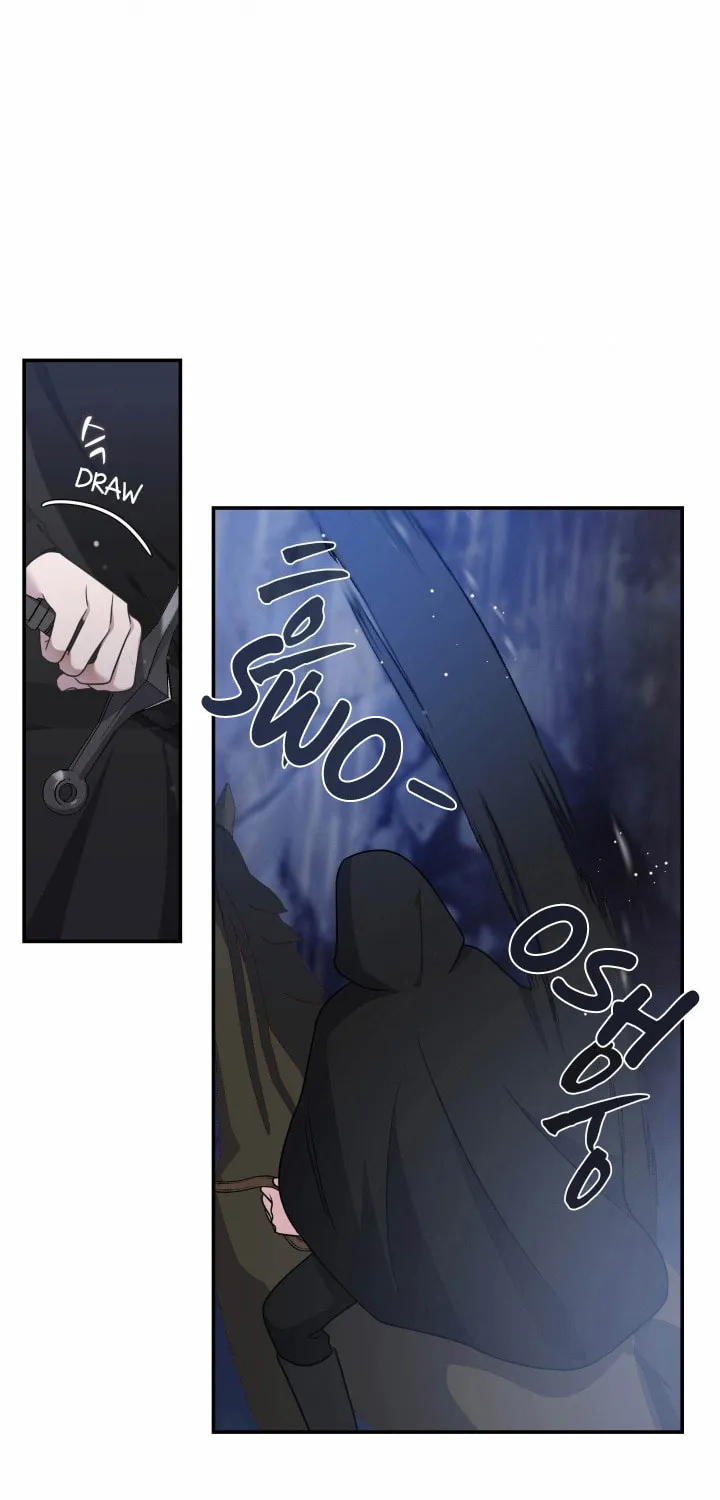 Two Sides of the Princess Chapter 12 page 12 - 