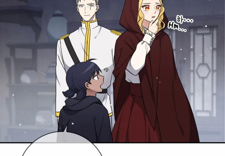 Two Sides of the Princess Chapter 12 page 31 - 