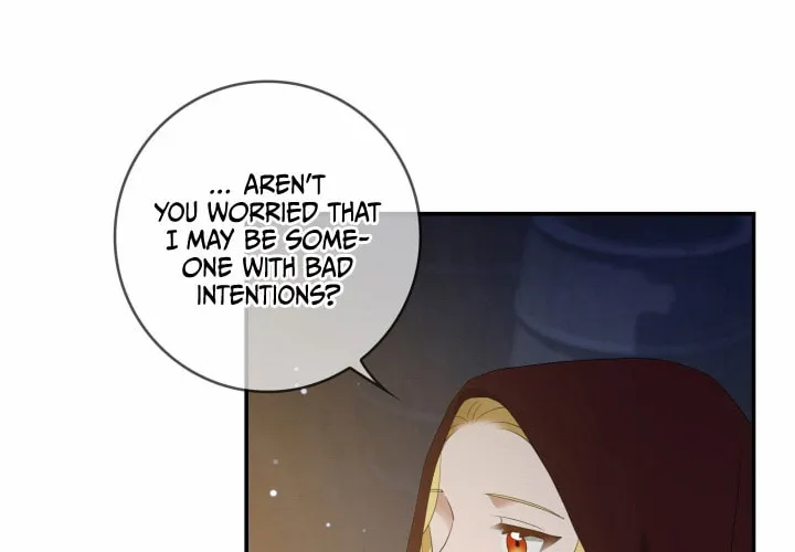 Two Sides of the Princess Chapter 13 page 13 - 