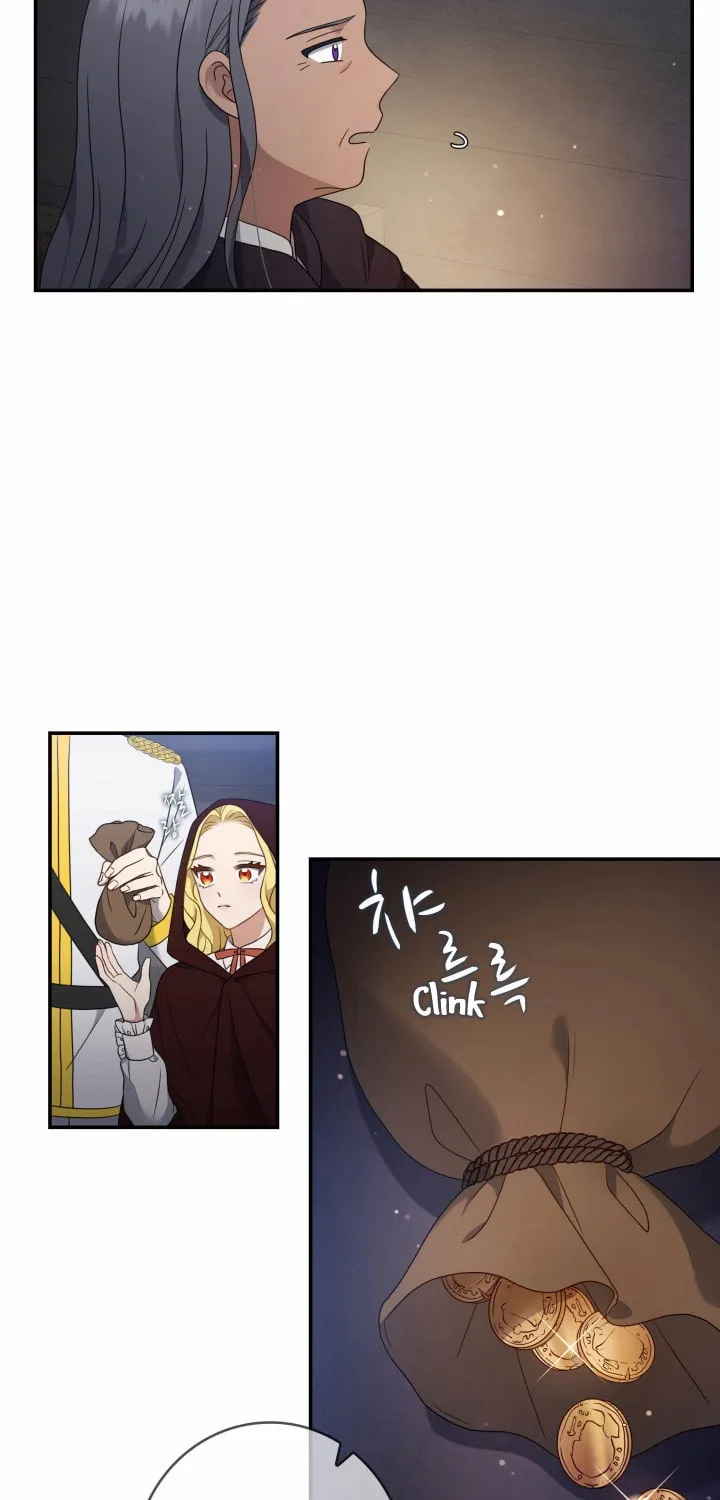 Two Sides of the Princess Chapter 13 page 29 - 