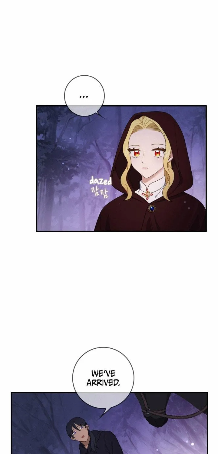 Two Sides of the Princess Chapter 13 page 49 - 