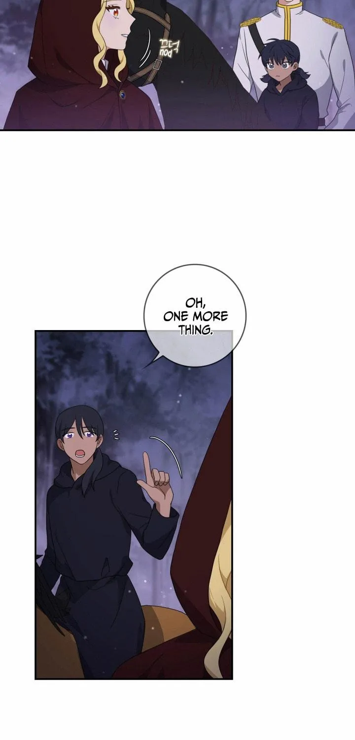 Two Sides of the Princess Chapter 13 page 64 - 
