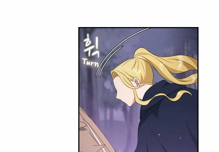 Two Sides of the Princess Chapter 14 page 13 - 