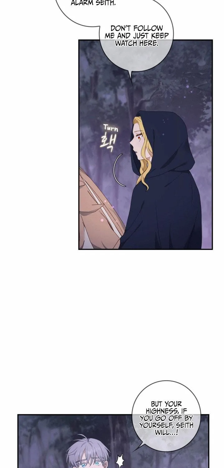 Two Sides of the Princess Chapter 14 page 4 - 