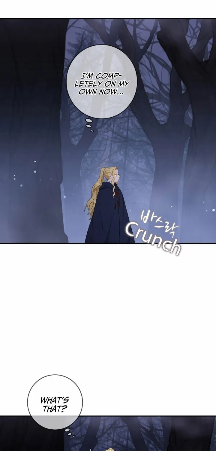 Two Sides of the Princess Chapter 14 page 40 - 