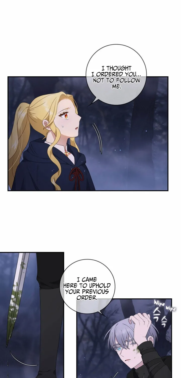 Two Sides of the Princess Chapter 14 page 63 - 